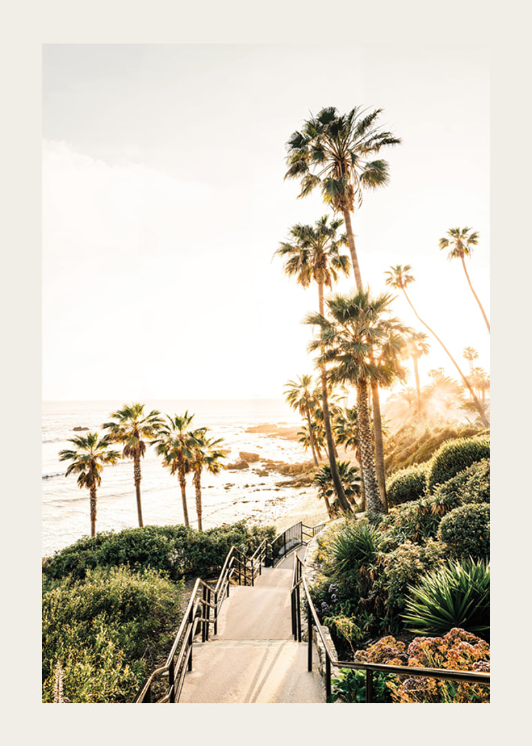 Poster with a photograph of palm trees and sea bathed in a golden light.-12