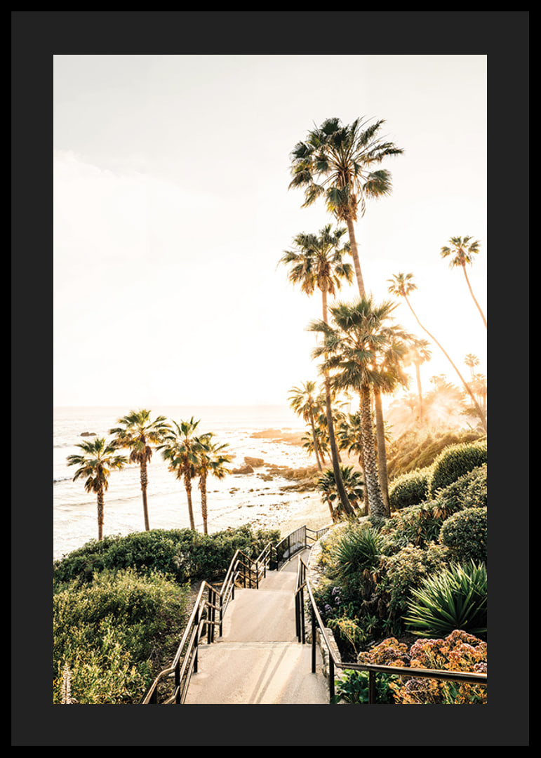 Poster with a photograph of palm trees and sea bathed in a golden light.-12
