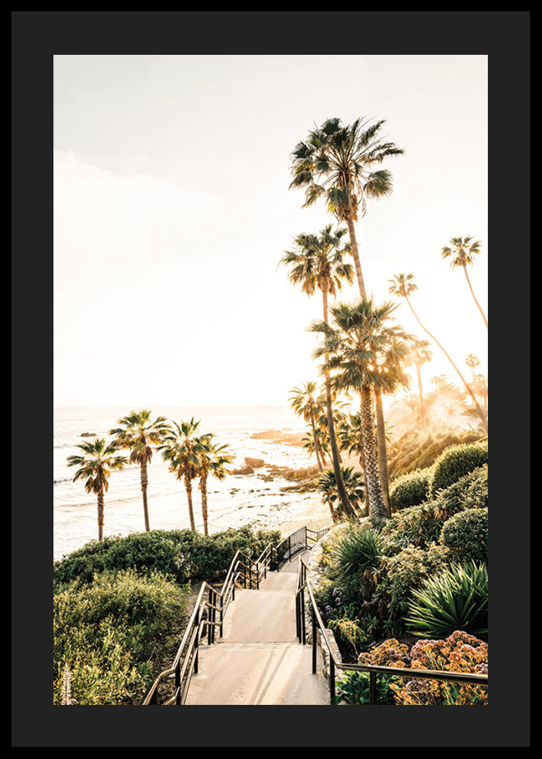 Plakat ze zdjęciem palm i morza skąpanego w złotym świetle.-12