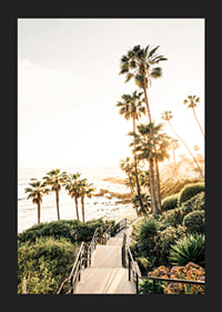 Poster with a photograph of palm trees and sea bathed in a golden light.-5