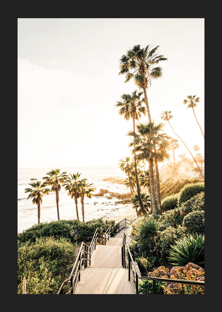 Poster with a photograph of palm trees and sea bathed in a golden light.-12