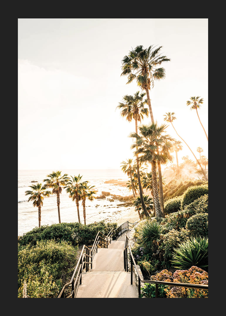 Plakat ze zdjęciem palm i morza skąpanego w złotym świetle.-12