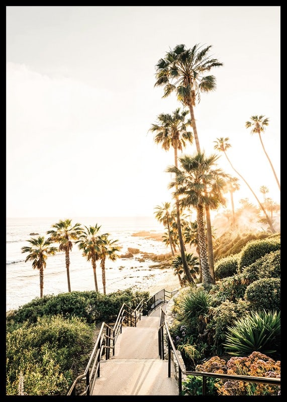 Poster with a photograph of palm trees and sea bathed in a golden light.-12
