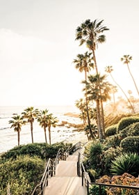 Poster with a photograph of palm trees and sea bathed in a golden light.-7