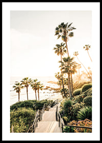 Poster with a photograph of palm trees and sea bathed in a golden light.-0
