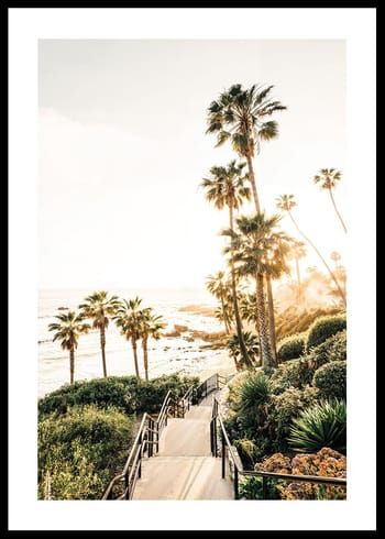 Affiche Sunset Coastline