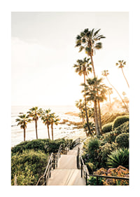 Poster with a photograph of palm trees and sea bathed in a golden light.-1