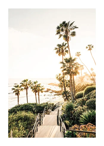 Poster Sunset Coastline