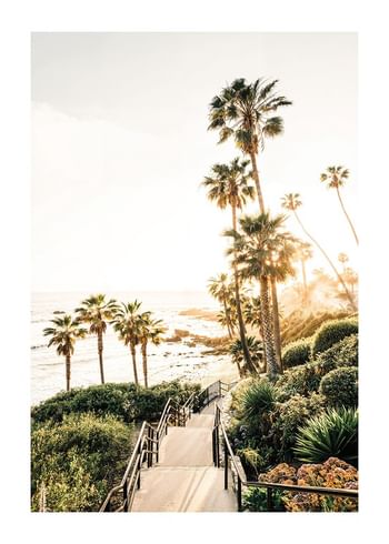 Poster Sunset Coastline