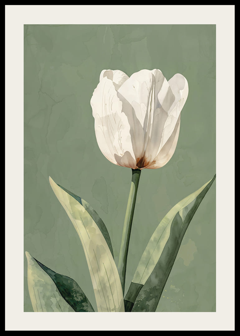 Poster with an elegant painting of a white tulip-12