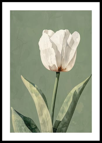 Affiche Tulip Essence