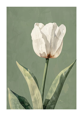 Poster Tulip Essence