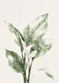 Poster with a watercolor painting of beautiful green leaves-7