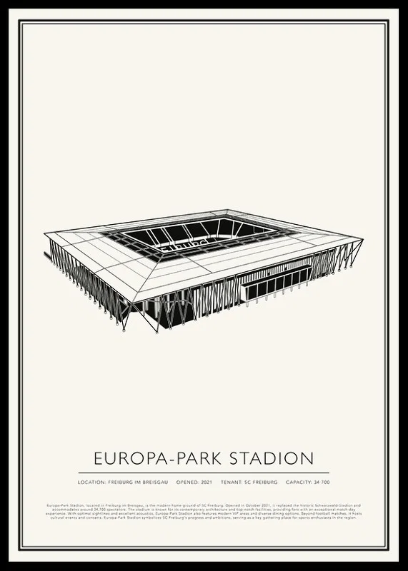 Europa-Park Stadion Vintage Sketch poster-12