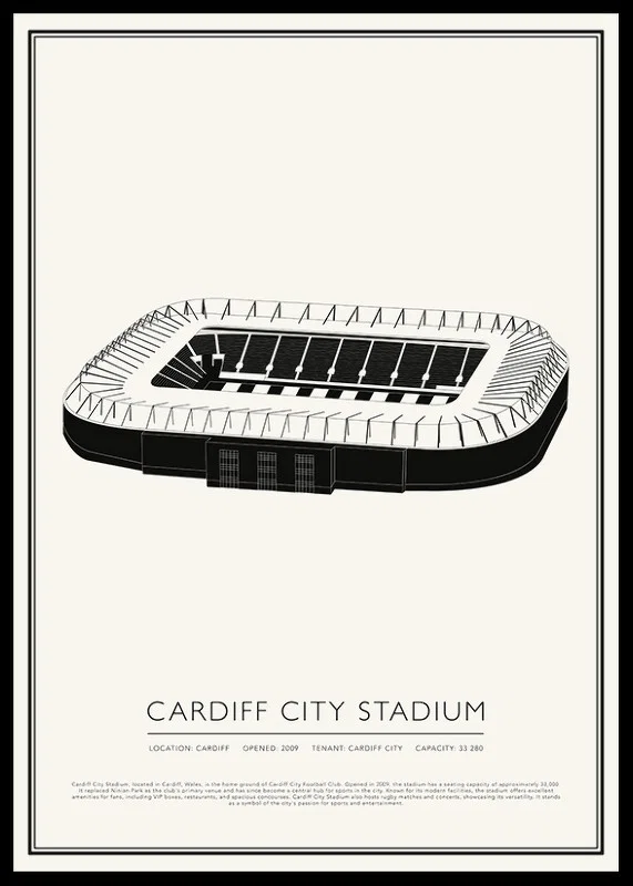 Cardiff City Stadium Vintage Sketch poster-12