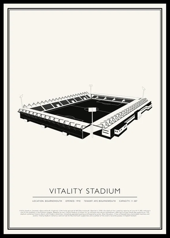 Vitality Stadium Vintage Sketch poster-12