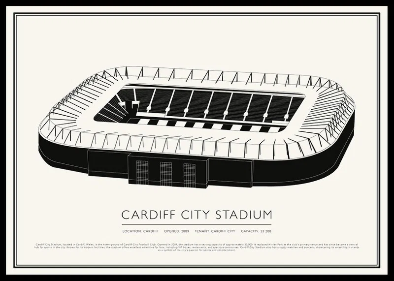 Cardiff City Stadium Vintage Sketch poster-12