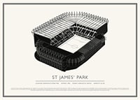 St James' Park Vintage Sketch plagát-1