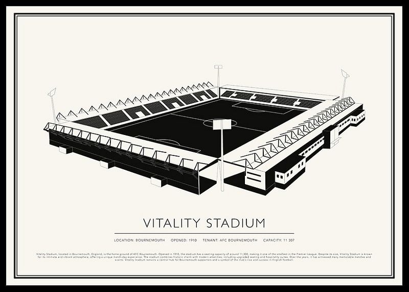 Poster Vitality Stadium Vintage Sketch-12