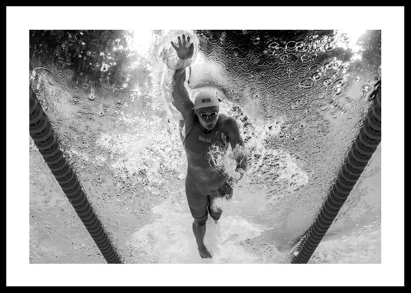 Sarah Sjöström OS-Guld Paris B&W Poster-12