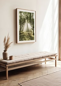 Poster capturing the sunlight in the forest on a beautiful morning-8
