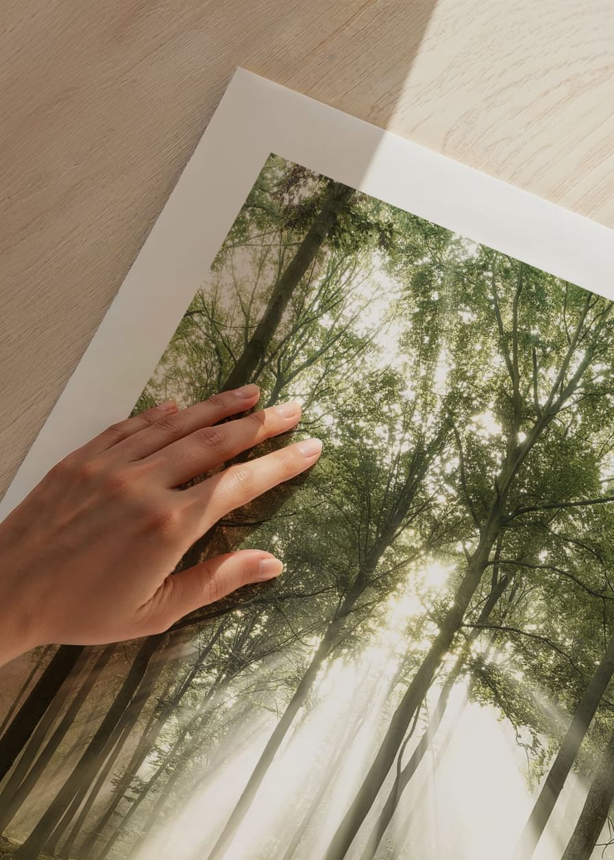 Poster care surprinde lumina soarelui în pădure într-o dimineață frumoasă-12