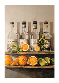 Poster with Gin bottles on a shelf with fruit-1