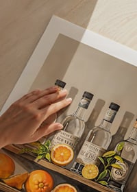 Poster with Gin bottles on a shelf with fruit-9