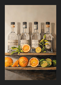 Poster with Gin bottles on a shelf with fruit-5