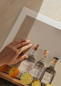 Póster con cuatro botellas de Ginebra y fruta.-5