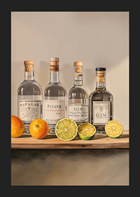 Poster with four bottles of Gin and fruit-5