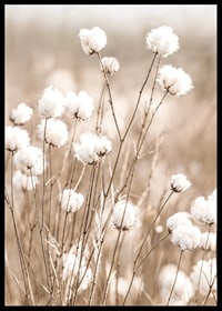 Poster med bomull och natur-6