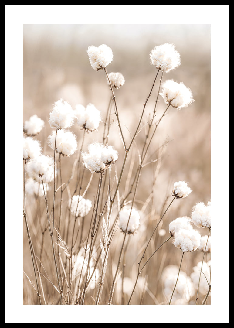 Poster med bomull och natur-12