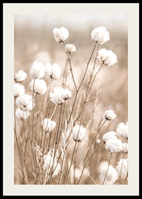Poster med bomull och natur-2