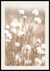 Affiche avec du coton et de la nature-2