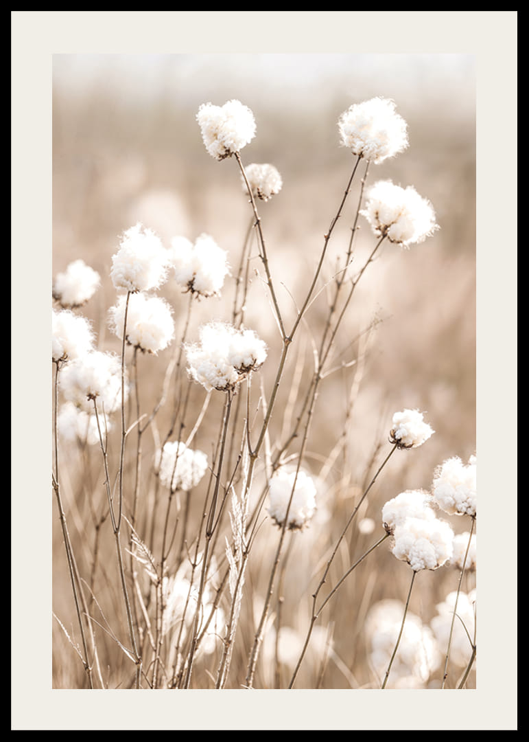 Affiche avec du coton et de la nature-12