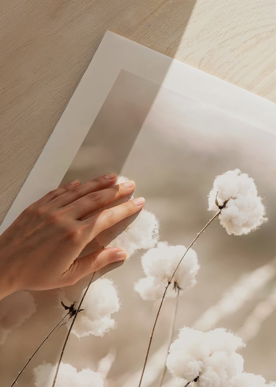 Poster with a nature image of a field with cotton flowers-12