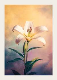 A poster with a white lily against a soft pastel background -3