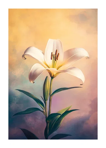 Poster Graceful White Lily