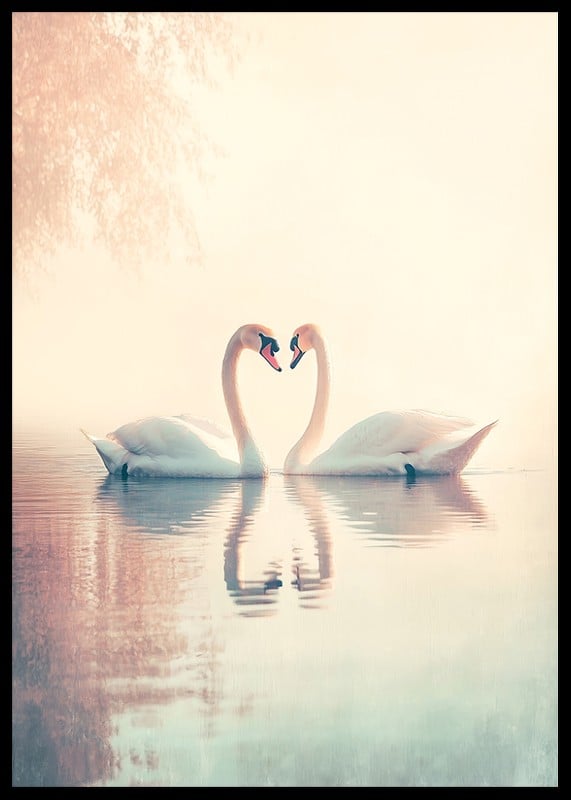 A poster with two swans in a still lake that radiates love and harmony-12