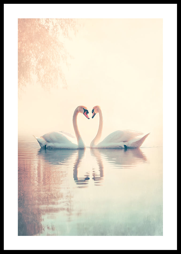 A poster with two swans in a still lake that radiates love and harmony-12