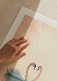 A poster with two swans in a still lake that radiates love and harmony-9