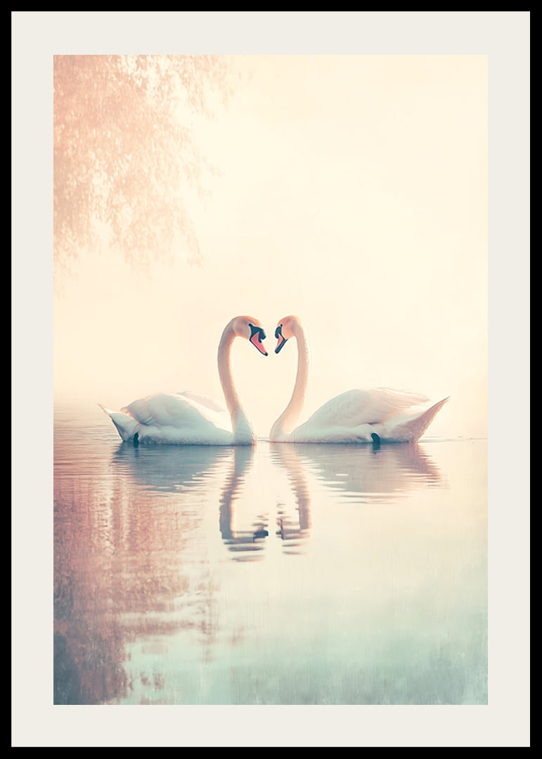 A poster with two swans in a still lake that radiates love and harmony-12