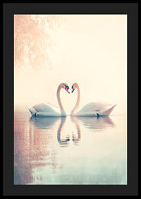 A poster with two swans in a still lake that radiates love and harmony-4