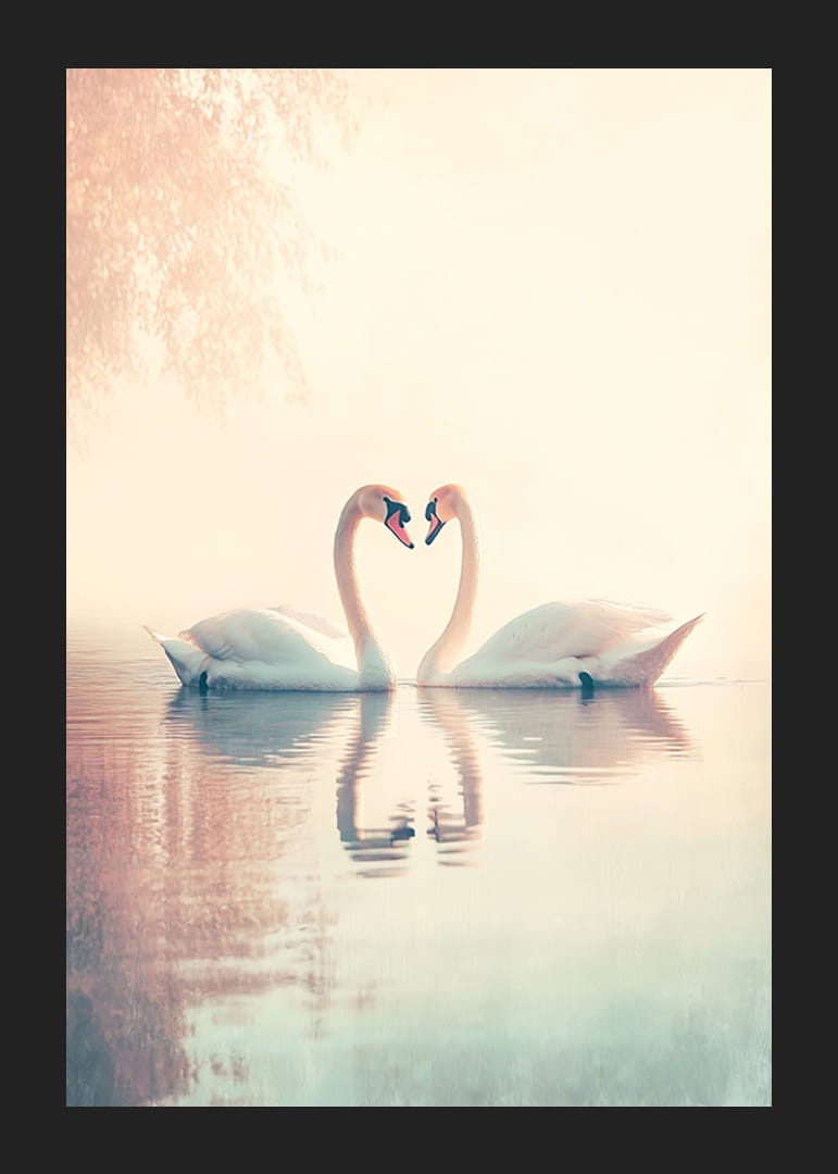 En poster med två svanar i en stilla sjö som utstrålar kärlek och harmoni-12