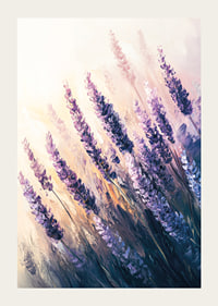 Ein Poster mit sonnenbeschienenen Lavendelfeldern in sanften Lila- und Pastelltönen-3