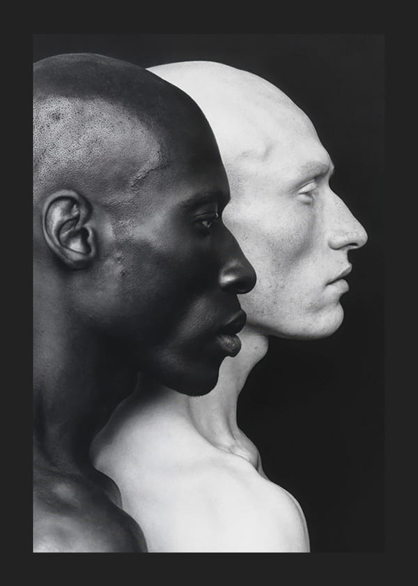 Poster Symmetry Of Diversity