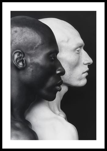 Poster Symmetry Of Diversity