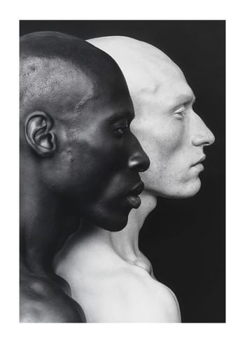 Poster Symmetry Of Diversity