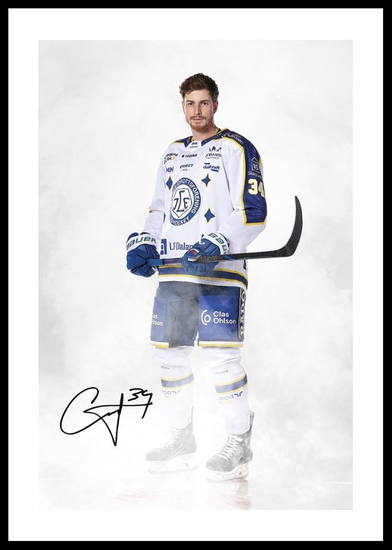 Peter Cehlarik #34 Leksands IF 2024/2024-12